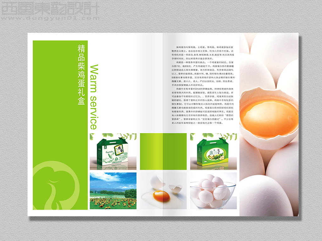 北京金鳳祥云商貿(mào)公司農(nóng)產(chǎn)品畫冊設(shè)計(jì)之精品柴雞蛋內(nèi)頁設(shè)計(jì)