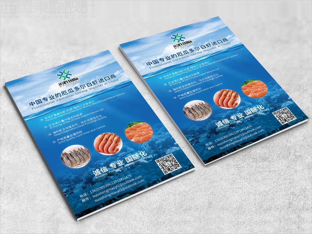 河北任丘市諾勝進出口貿(mào)易有限公司宣傳彩頁設計