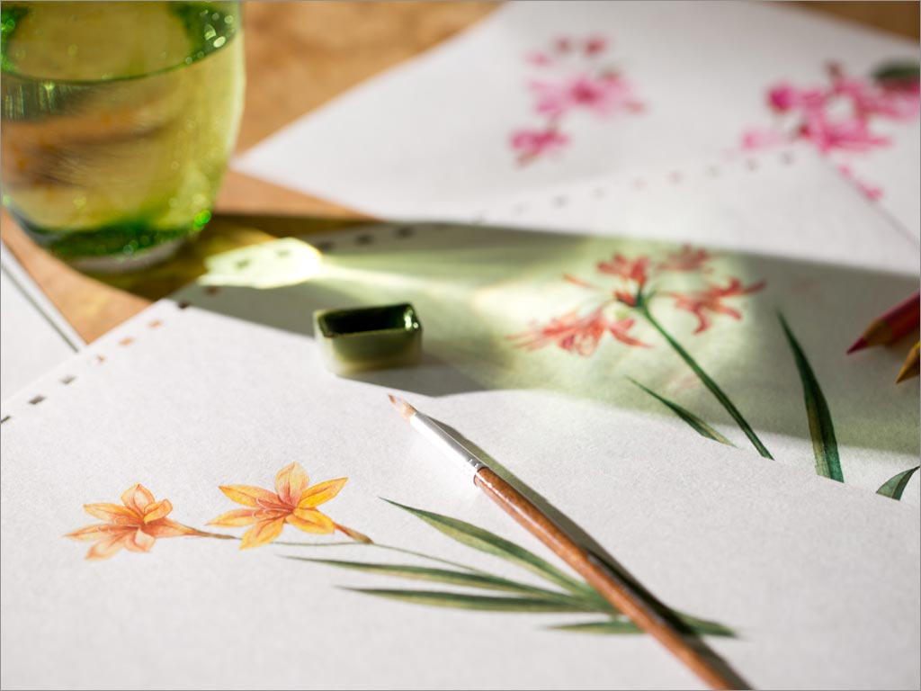 俄羅斯Floristica化妝品包裝設(shè)計(jì)之插畫(huà)設(shè)計(jì)