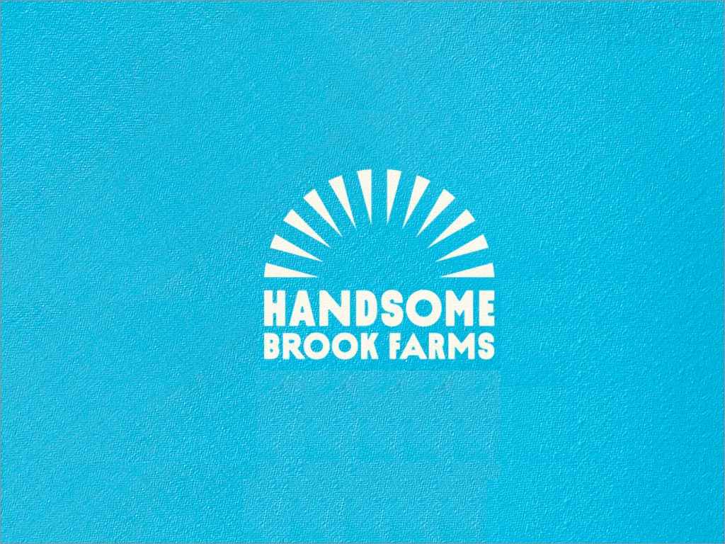 美國布魯克農(nóng)場雞蛋品牌logo設(shè)計(jì)