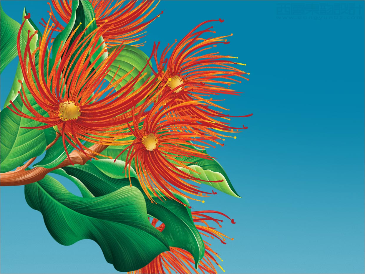 美國Mauna Loa夏威夷堅(jiān)果零食包裝設(shè)計(jì)之插畫設(shè)計(jì)