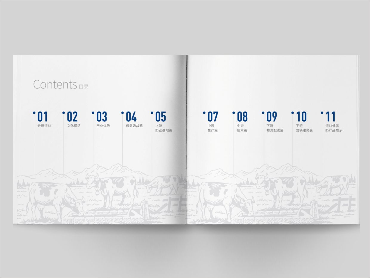 山東得益乳業(yè)股份有限公司畫冊(cè)設(shè)計(jì)之目錄頁(yè)設(shè)計(jì)