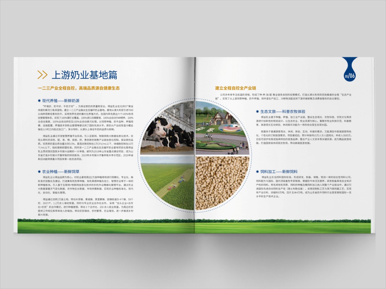 山東得益乳業(yè)股份有限公司畫冊(cè)設(shè)計(jì)之內(nèi)頁(yè)設(shè)計(jì)