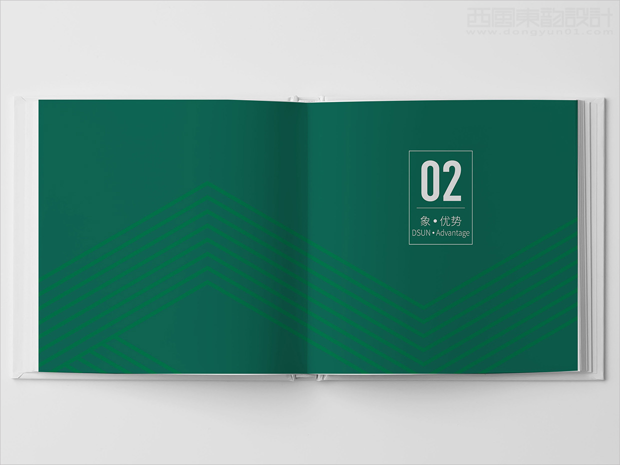 山東日照大象房屋建設(shè)公司畫冊(cè)設(shè)計(jì)之優(yōu)勢(shì)版塊形象頁(yè)設(shè)計(jì)