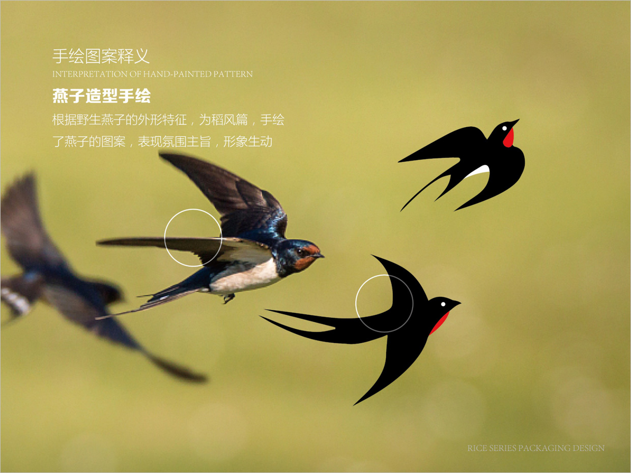 綠牧嶺大米農產品包裝設計之燕子手繪插圖