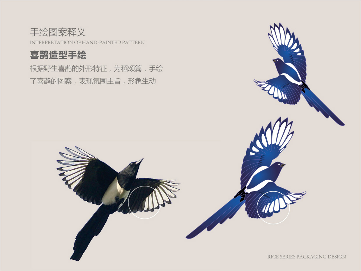 綠牧嶺大米農產品包裝設計之喜鵲手繪插圖