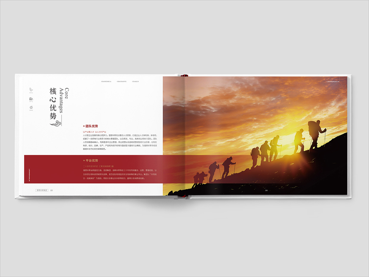 理想華萊科技集團(tuán)公司畫冊設(shè)計之核心優(yōu)勢頁面設(shè)計